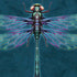 Brigid Ashwood Mystical Dragonfly Moto E5 Play Skin