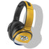 NHL Nashville Predators Alternate Jersey Skullcandy Venue Skin