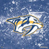 NHL Nashville Predators Frozen PS4 Pro Bundle Skin