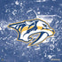 NHL Nashville Predators Frozen PS4 Pro/Slim Controller Skin
