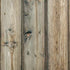 Natural Weathered Wood iPhone XR Pro Case