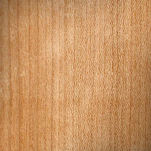 Natural Wood iPhone X Pro Case