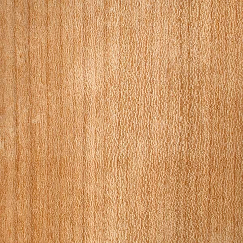 Natural Wood iPhone XR Skin