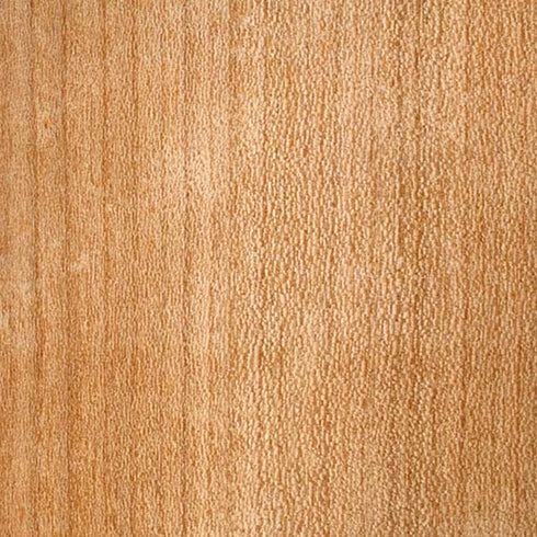 Natural Wood iPhone XS Max Skin