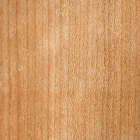 Natural Wood iPhone XS Pro Case
