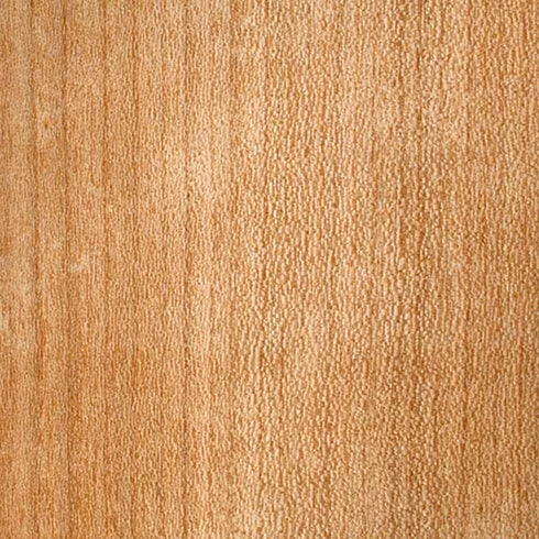 Natural Wood iPhone XS Skin