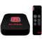 North Carolina State University Logo Apple TV Skin