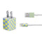 Neon Checkered iPhone Charger (5W USB) Skin