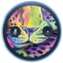 Neon Rainbow Cheetah with Rose by Sheena Pike Amazon Echo Skin