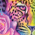 Neon Rainbow Cheetah with Rose by Sheena Pike iPhone XR Skin