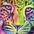 Neon Rainbow Cheetah with Rose by Sheena Pike Moto G6 Skin