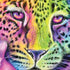 Neon Rainbow Cheetah with Rose by Sheena Pike Otterbox Commuter Galaxy Skin