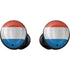 Netherlands Flag Distressed Galaxy Buds Skin