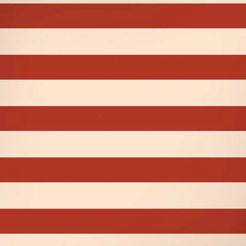 Neutral Stripes iPhone X Pro Case