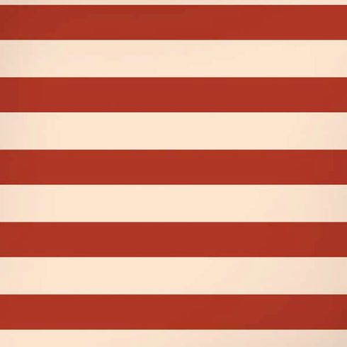 Neutral Stripes iPhone XR Skin
