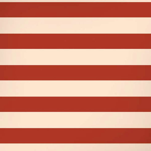 Neutral Stripes iPhone XS Max Skin