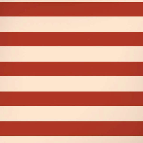 Neutral Stripes iPhone XS Skin