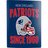 NFL New England Patriots Helmet PS5 Digital Edition Bundle Skin