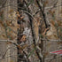 NFL New England Patriots Realtree AP Camo Legion Y720 Skin