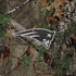 NFL New England Patriots Realtree Xtra Green Camo iPhone X Skin