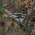 NFL New England Patriots Realtree Xtra Green Camo iPhone XR Skin