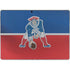 NFL New England Patriots Vintage Surface Pro 8 Skin