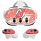NHL New Jersey Devils Frozen Meta Quest 3 Skin