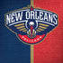 NBA New Orleans Pelicans Canvas iPhone X Pro Case