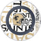 NFL New Orleans Saints - Blast Wireless Charger Skin