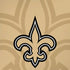 NFL New Orleans Saints Double Vision iPhone XS Max Skin
