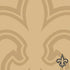 NFL New Orleans Saints Double Vision PS4 Pro Bundle Skin
