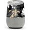 NFL New Orleans Saints Tropical Print Google Home Skin