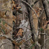 NFL New York Giants Realtree AP Camo iPhone XR Skin