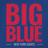 NFL New York Giants Team Motto iPhone XS Skin