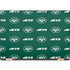NFL New York Jets Blitz Series HP Spectre Skin