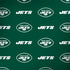 NFL New York Jets Blitz Series HP Spectre Skin