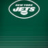 NFL New York Jets Breakaway iPhone X Skin