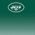 NFL New York Jets Breakaway PS4 Pro Bundle Skin