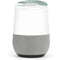 NFL New York Jets Google Home Skin