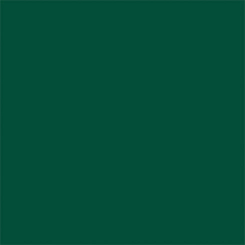 NFL New York Jets Green Performance Series Nintendo 2DS XL (2017) Skin