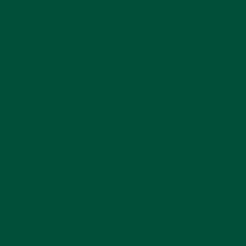 NFL New York Jets Large Logo Moto E5 Play Skin