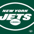 NFL New York Jets Large Logo PS4 Controller Skin