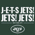 NFL New York Jets Team Motto PS4 Pro Bundle Skin