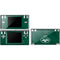 NFL New York Jets Team Jersey DS Lite Skin