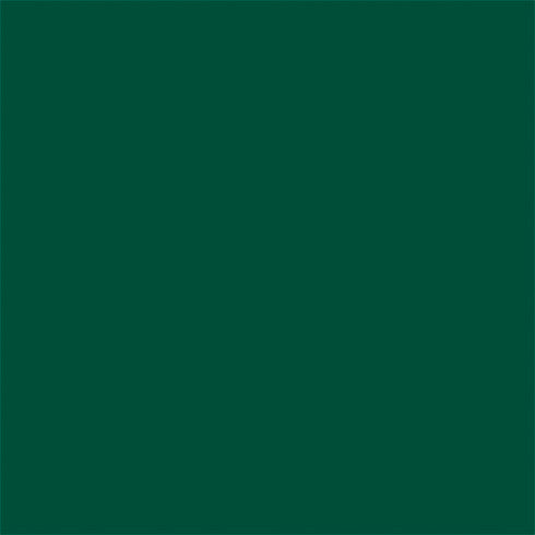 NFL New York Jets Team Motto Nintendo 2DS XL (2017) Skin