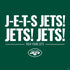 NFL New York Jets Team Motto PS4 Controller Skin