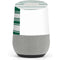 NFL New York Jets Trailblazer Google Home Skin