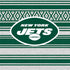NFL New York Jets Trailblazer PS4 Console and Controller Bundle Skin