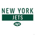 NFL New York Jets White Performance Series PS4 Console Skin
