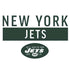 NFL New York Jets White Performance Series PS4 Pro Bundle Skin